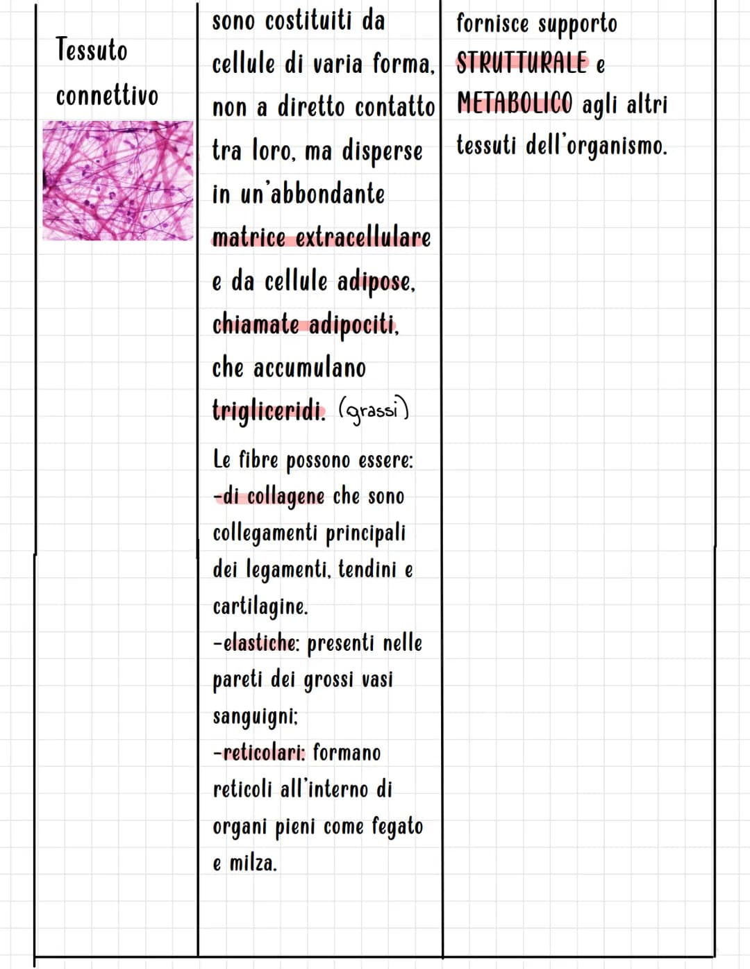 I TESSUTI
Si definisce TESSUTO un insieme di cellule, strutturalmente simili, associate per funzione.
I tessuti sono di quattro tipi fondame