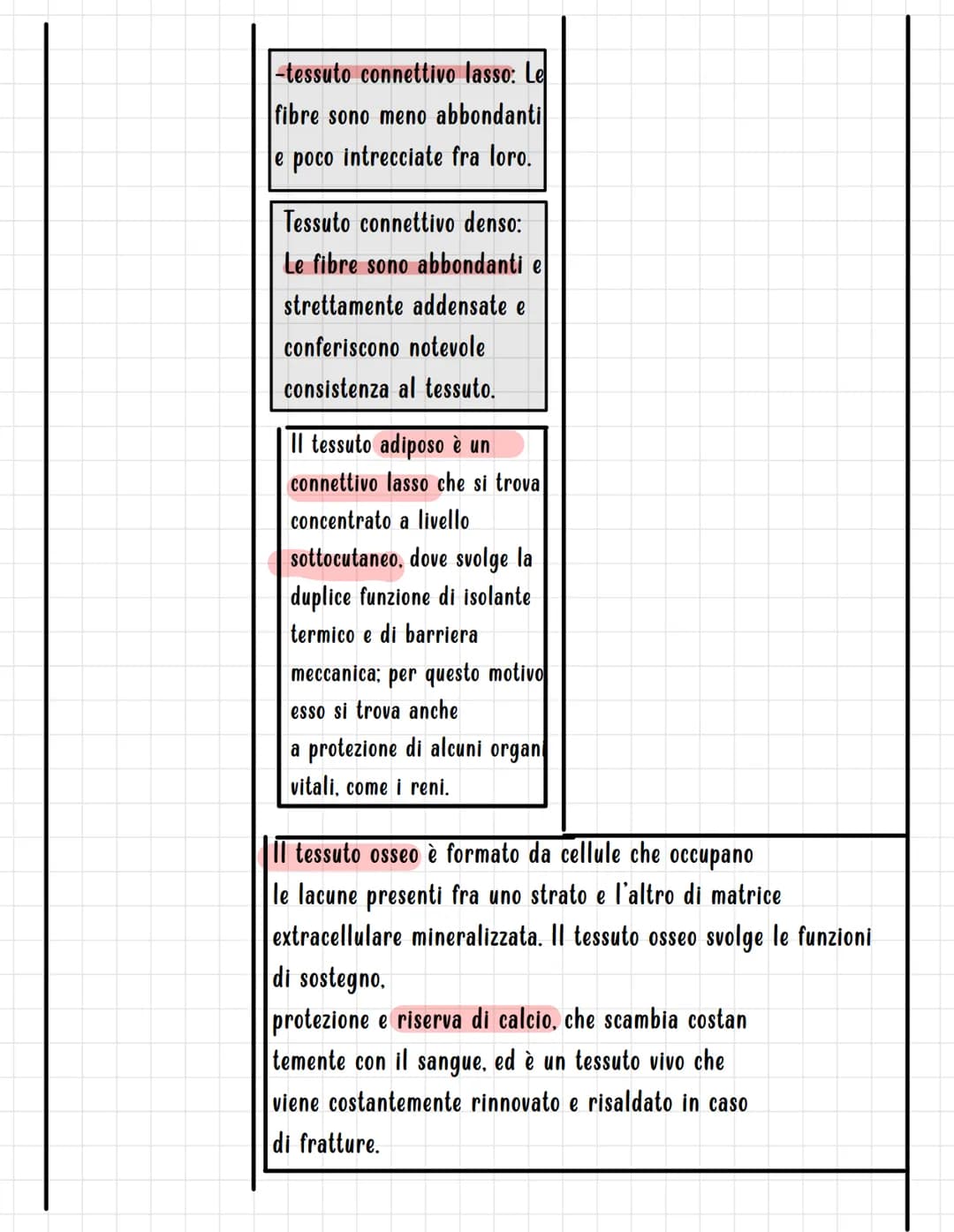 I TESSUTI
Si definisce TESSUTO un insieme di cellule, strutturalmente simili, associate per funzione.
I tessuti sono di quattro tipi fondame