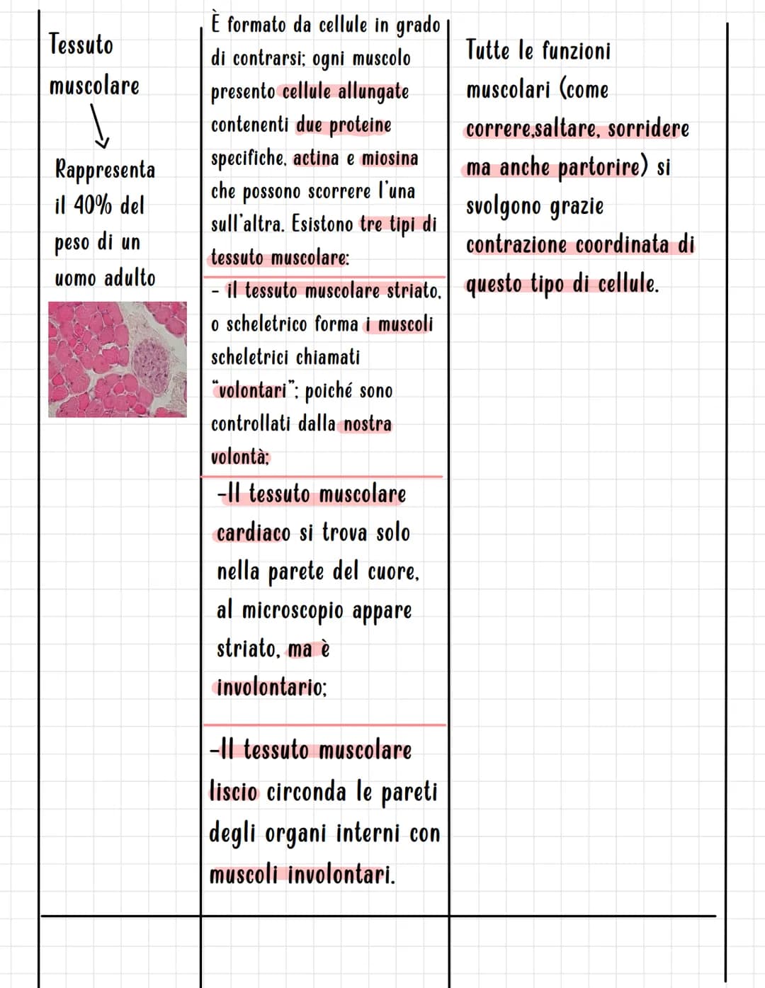 I TESSUTI
Si definisce TESSUTO un insieme di cellule, strutturalmente simili, associate per funzione.
I tessuti sono di quattro tipi fondame