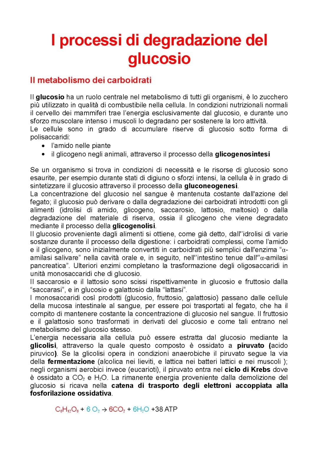 I processi di degradazione del glucosio