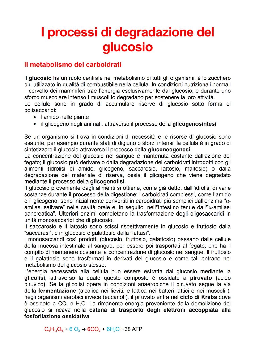 I processi di degradazione del
glucosio
Il metabolismo dei carboidrati
Il glucosio ha un ruolo centrale nel metabolismo di tutti gli organis