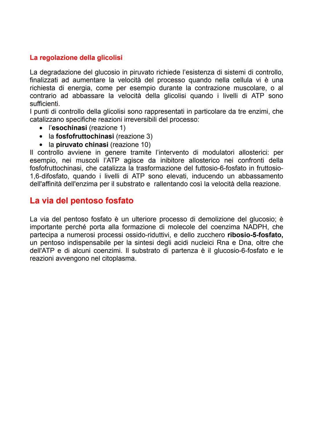 I processi di degradazione del
glucosio
Il metabolismo dei carboidrati
Il glucosio ha un ruolo centrale nel metabolismo di tutti gli organis