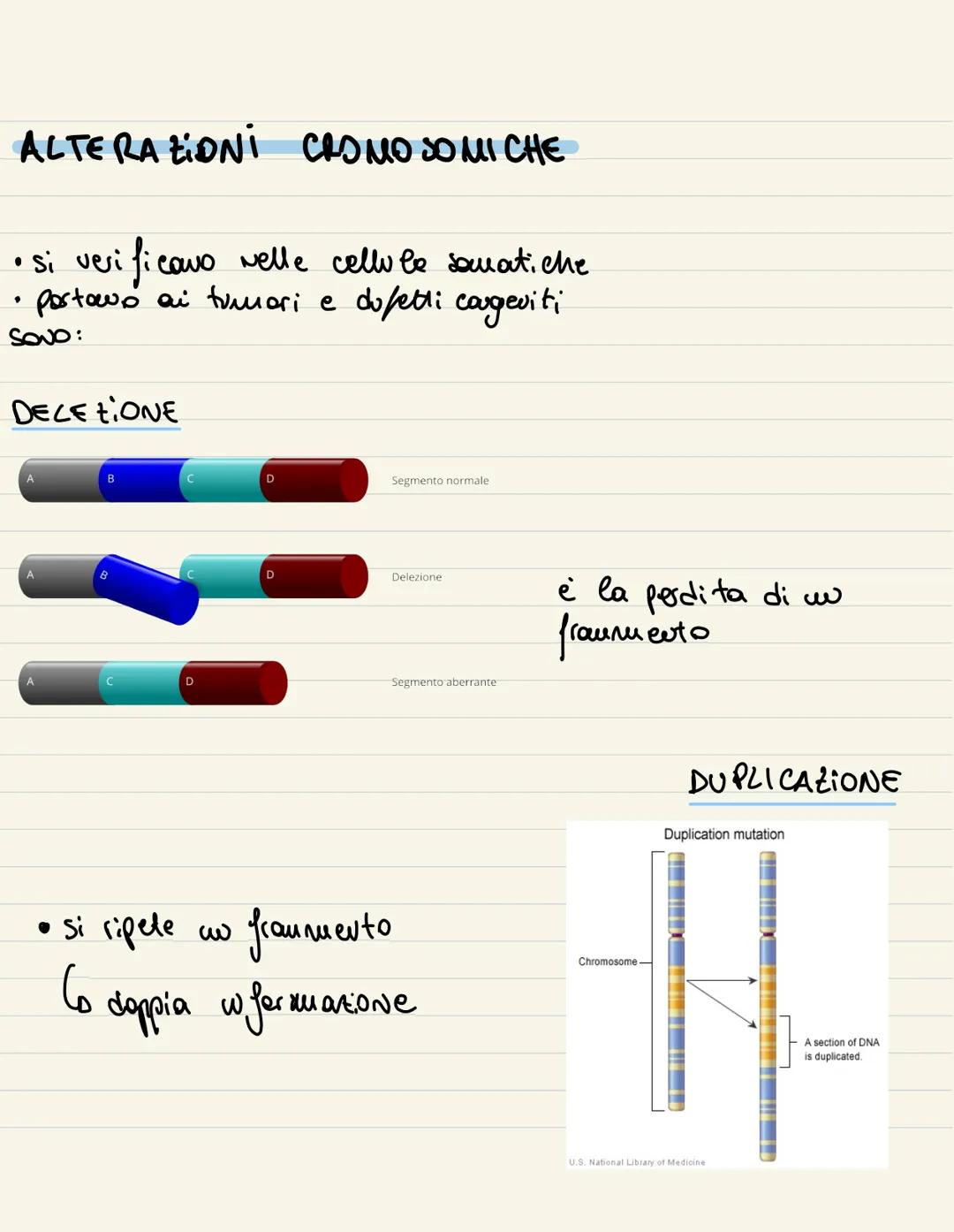 
<p>Il ciclo cellulare è l'insieme degli eventi compresi tra la formazione della cellula e la sua divisione in due cellule figlie. Si compon