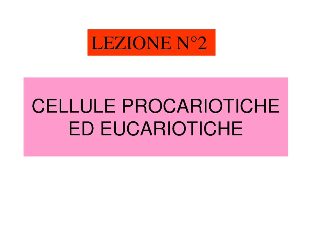 cellule Eucarioti e procarioti 