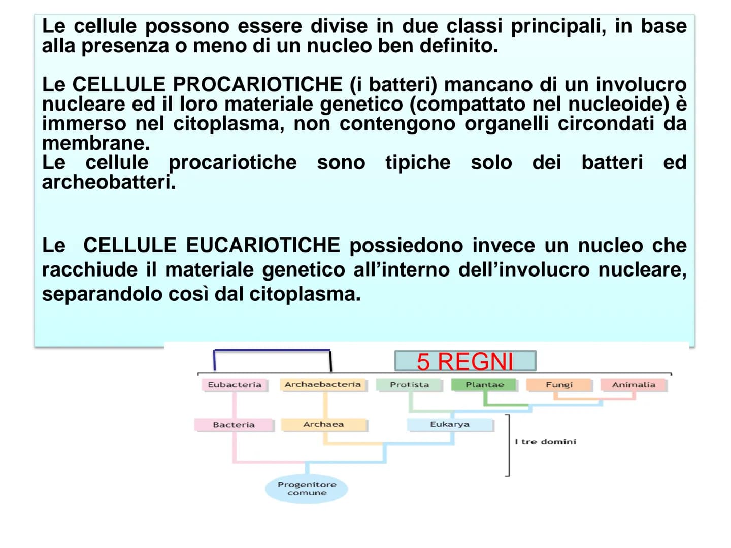 LEZIONE N°2
CELLULE PROCARIOTICHE
ED EUCARIOTICHE La biologia (dal greco bios= vita e logos : = studio= Bios
logos ovvero studio della vita
