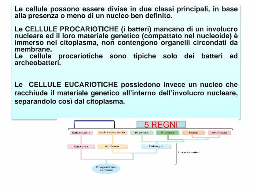 LEZIONE N°2
CELLULE PROCARIOTICHE
ED EUCARIOTICHE La biologia (dal greco bios= vita e logos : = studio= Bios
logos ovvero studio della vita
