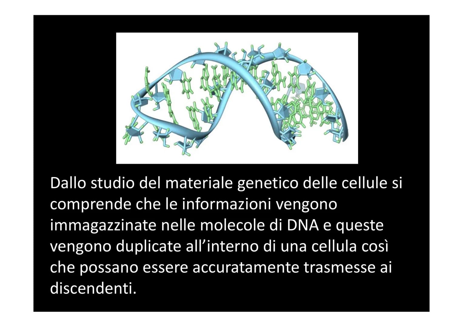 LA SINTESI PROTEICA
لا لا هي
14101 Dallo studio del materiale genetico delle cellule si
comprende che le informazioni vengono
immagazzinate 