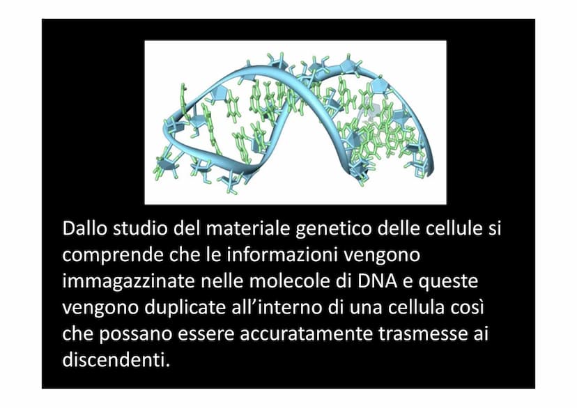 LA SINTESI PROTEICA
لا لا هي
14101 Dallo studio del materiale genetico delle cellule si
comprende che le informazioni vengono
immagazzinate 