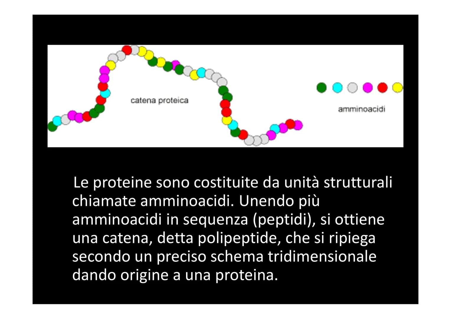 LA SINTESI PROTEICA
لا لا هي
14101 Dallo studio del materiale genetico delle cellule si
comprende che le informazioni vengono
immagazzinate 