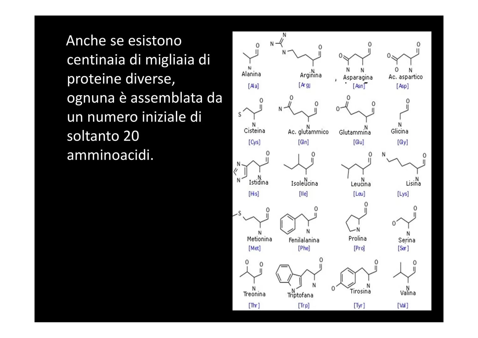 LA SINTESI PROTEICA
لا لا هي
14101 Dallo studio del materiale genetico delle cellule si
comprende che le informazioni vengono
immagazzinate 