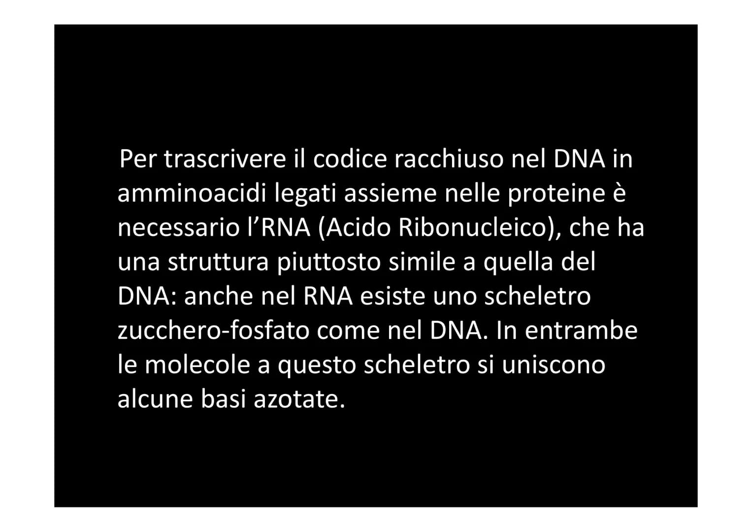LA SINTESI PROTEICA
لا لا هي
14101 Dallo studio del materiale genetico delle cellule si
comprende che le informazioni vengono
immagazzinate 