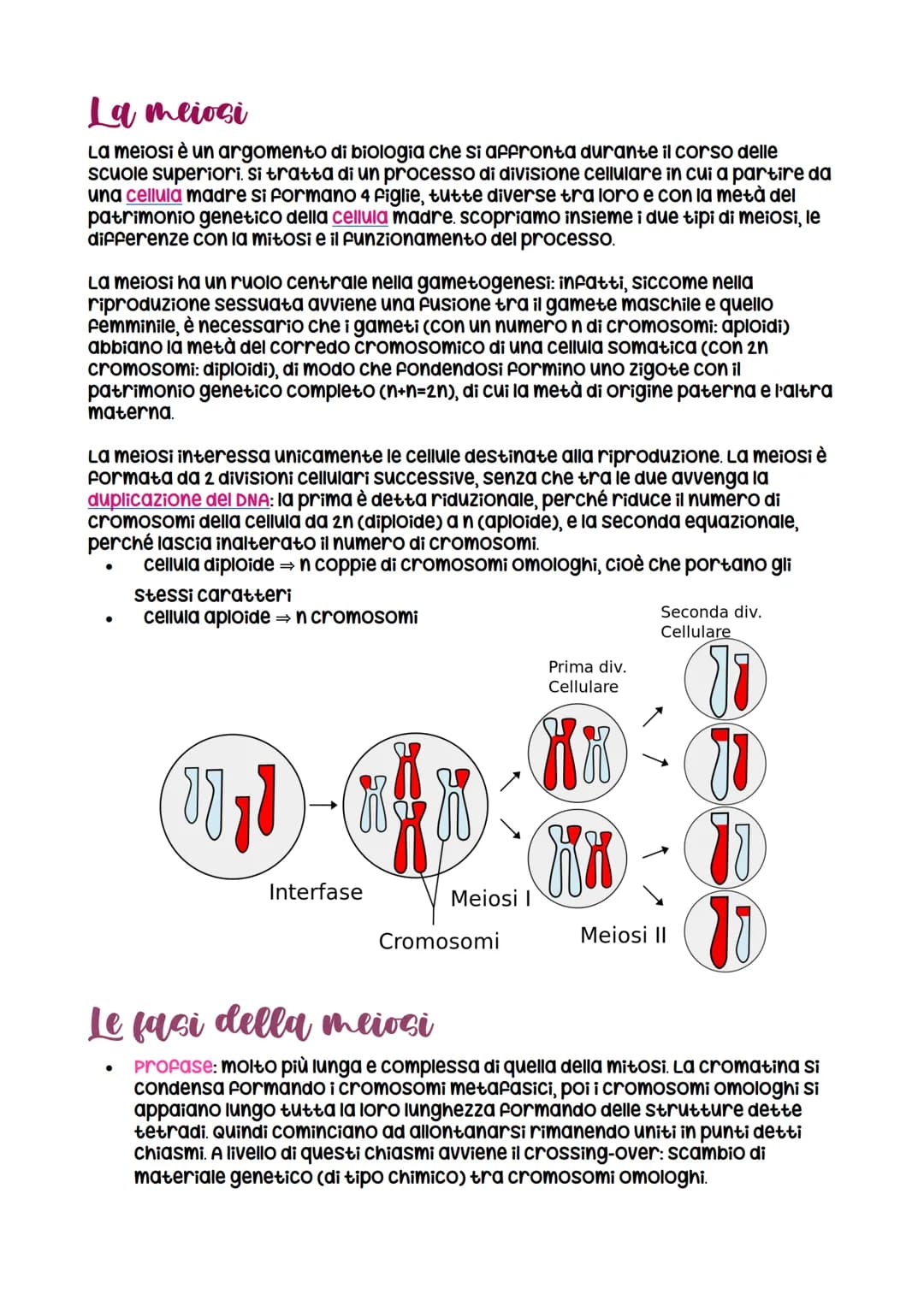 La divisione cellulare
avviene per
scissione binaria
nei procarioti
LEZIONE 1
La divisione cellulare
negli eucarioti può essere
asessuata, a