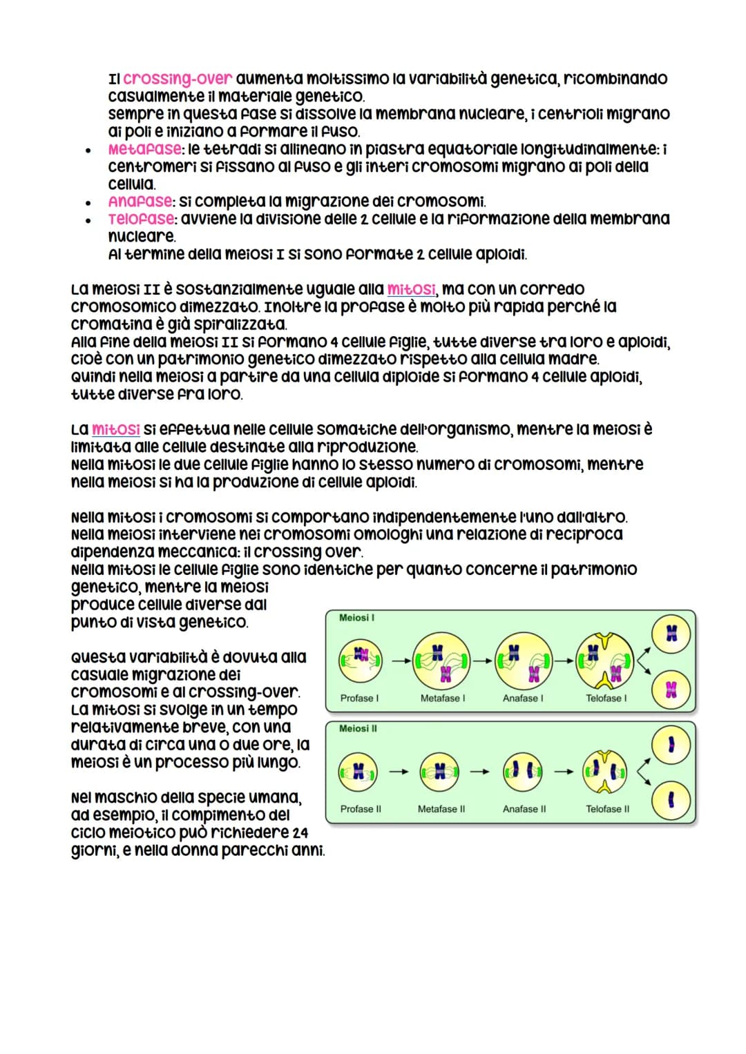 La divisione cellulare
avviene per
scissione binaria
nei procarioti
LEZIONE 1
La divisione cellulare
negli eucarioti può essere
asessuata, a