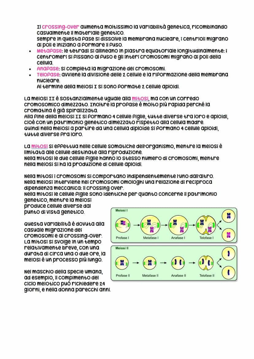 La divisione cellulare
avviene per
scissione binaria
nei procarioti
LEZIONE 1
La divisione cellulare
negli eucarioti può essere
asessuata, a