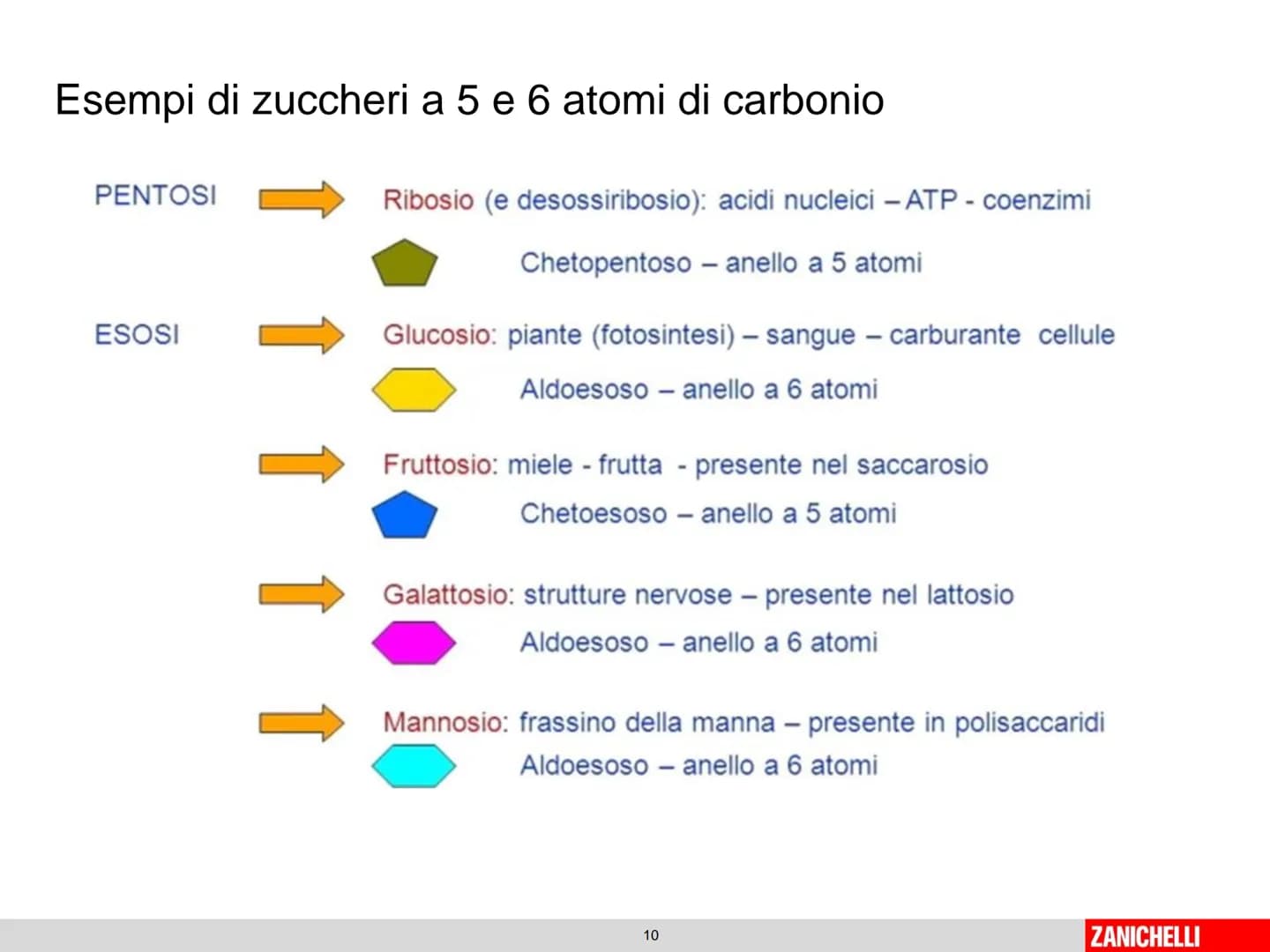 804
Biomolecole: le molecole della vita
classe 2 D Prof.ssa Stelitano E.
LE
MOLECOLE
DELLA VITA
CH3
MOLTE UNITA' SEMPLICI
0
SI DICONO
CH₂
CH
