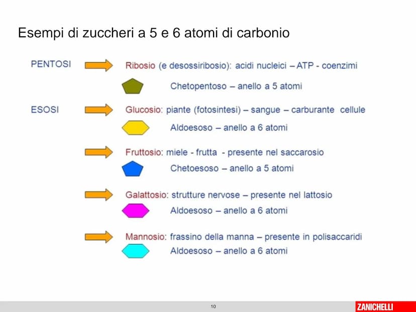 804
Biomolecole: le molecole della vita
classe 2 D Prof.ssa Stelitano E.
LE
MOLECOLE
DELLA VITA
CH3
MOLTE UNITA' SEMPLICI
0
SI DICONO
CH₂
CH