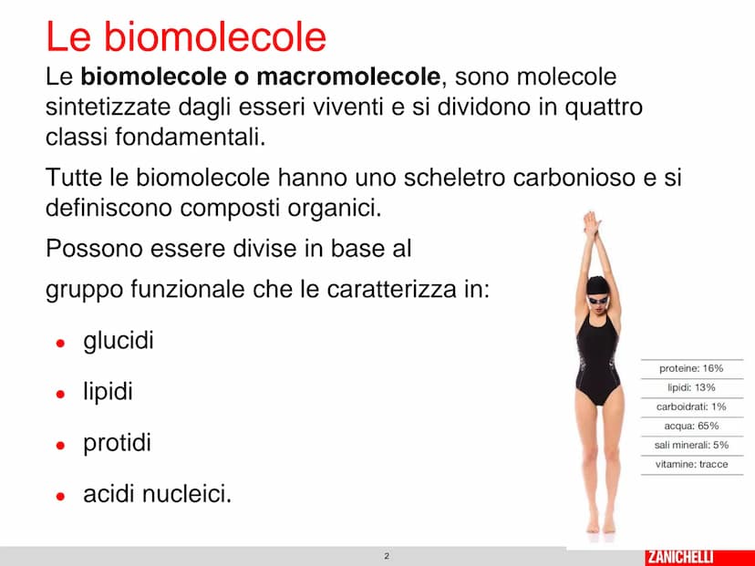 804
Biomolecole: le molecole della vita
classe 2 D Prof.ssa Stelitano E.
LE
MOLECOLE
DELLA VITA
CH3
MOLTE UNITA' SEMPLICI
0
SI DICONO
CH₂
CH