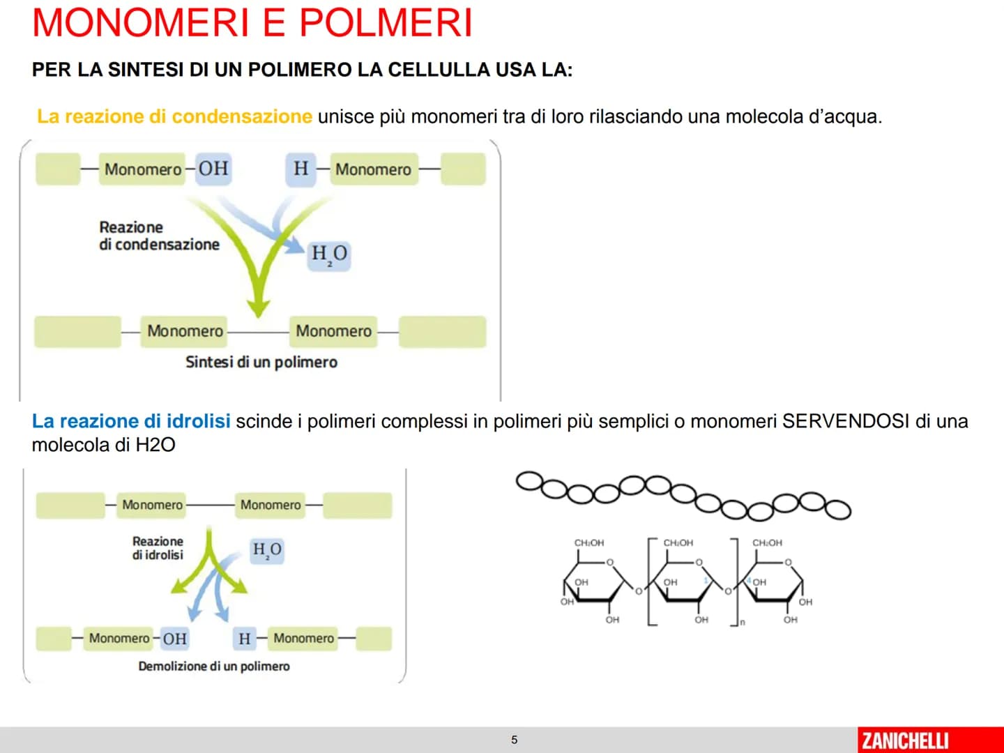 804
Biomolecole: le molecole della vita
classe 2 D Prof.ssa Stelitano E.
LE
MOLECOLE
DELLA VITA
CH3
MOLTE UNITA' SEMPLICI
0
SI DICONO
CH₂
CH