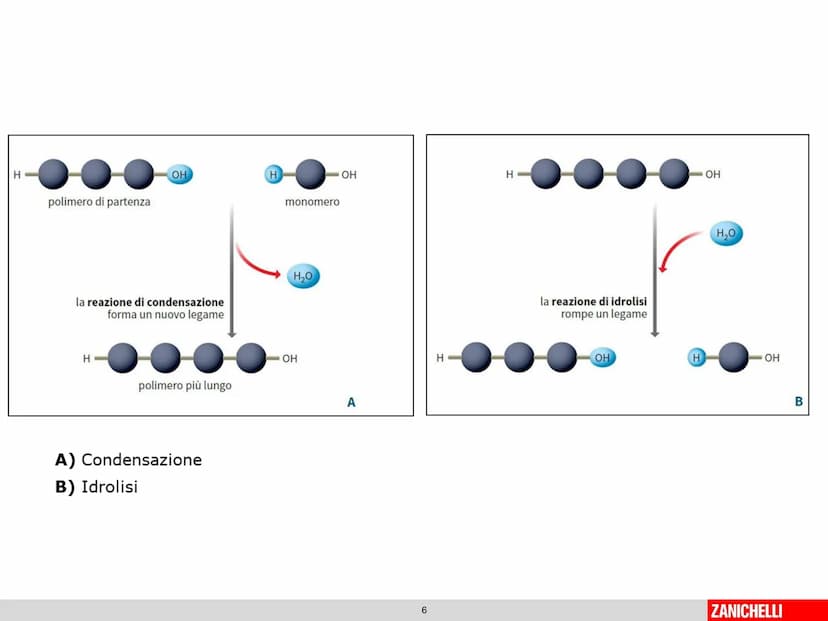 804
Biomolecole: le molecole della vita
classe 2 D Prof.ssa Stelitano E.
LE
MOLECOLE
DELLA VITA
CH3
MOLTE UNITA' SEMPLICI
0
SI DICONO
CH₂
CH