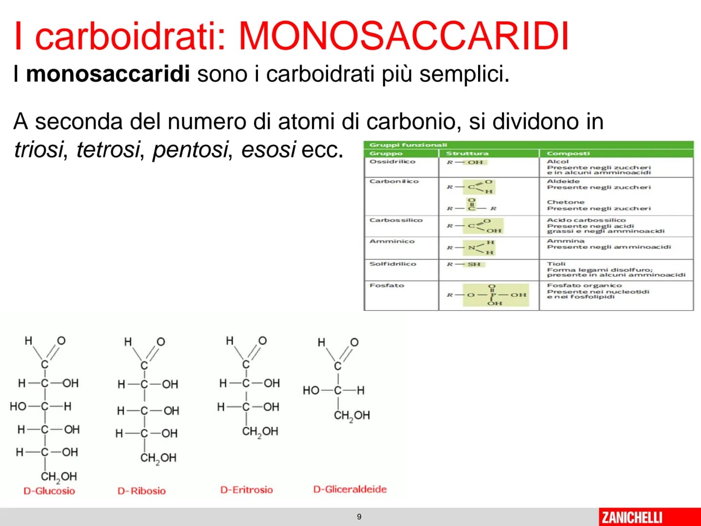 804
Biomolecole: le molecole della vita
classe 2 D Prof.ssa Stelitano E.
LE
MOLECOLE
DELLA VITA
CH3
MOLTE UNITA' SEMPLICI
0
SI DICONO
CH₂
CH