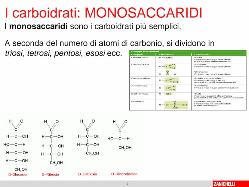 804
Biomolecole: le molecole della vita
classe 2 D Prof.ssa Stelitano E.
LE
MOLECOLE
DELLA VITA
CH3
MOLTE UNITA' SEMPLICI
0
SI DICONO
CH₂
CH