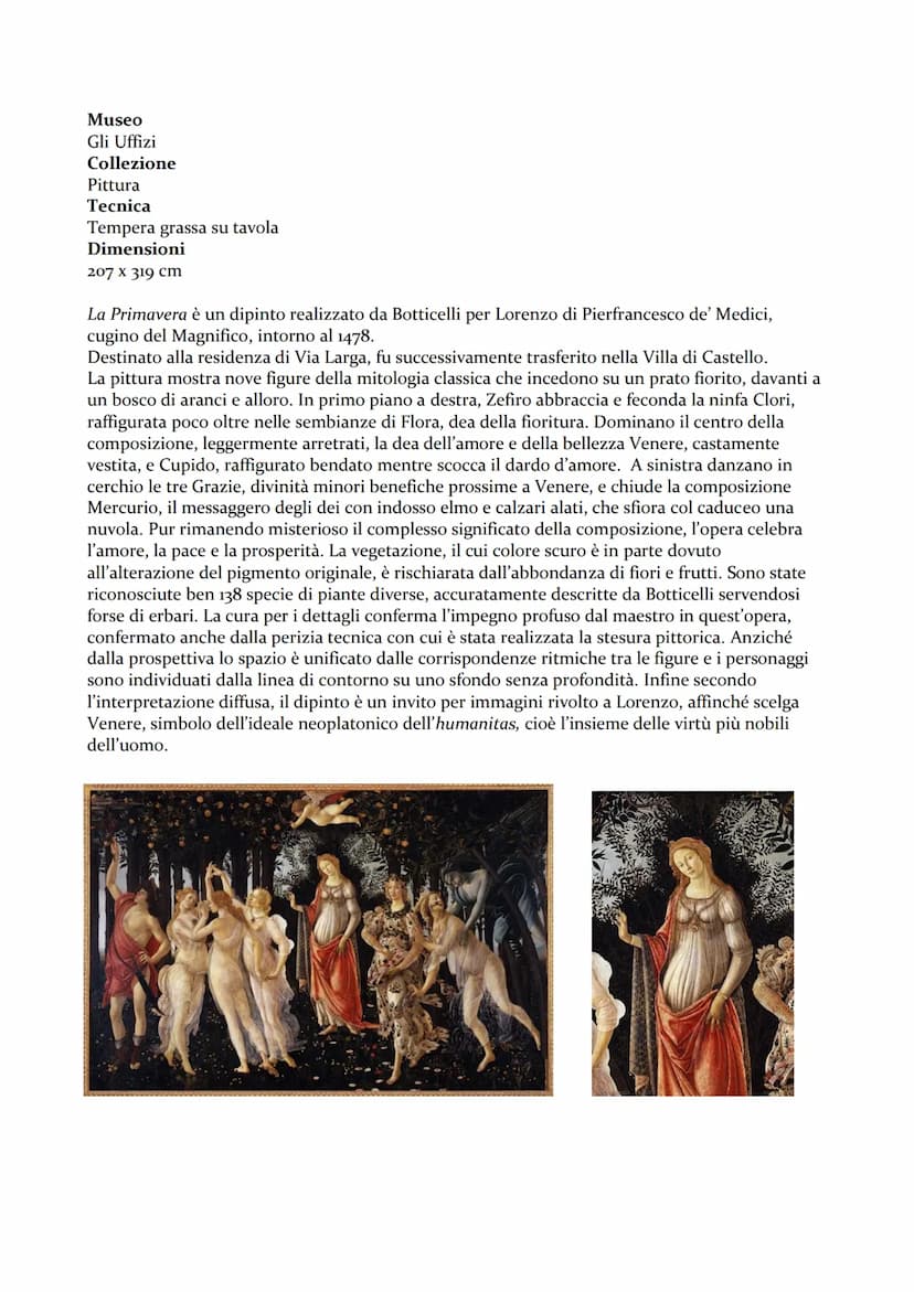 SANDRO BOTTICELLI (1445-1510)
PERCORSO ARTISTICO:
●
●
●
●
●
Alessandro Filipepi, detto Sandro Botticelli, nacque a Firenze nel
1445. È stato