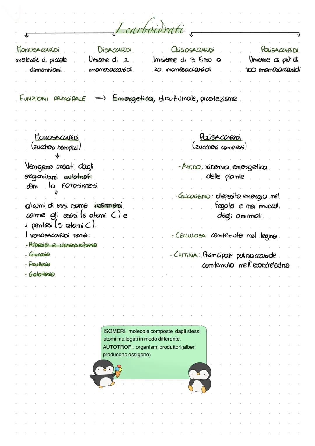 MONOSACCARIDI
molecole di piccole
dimensioni
MONOSACCARIDI
(zuccheri semplici
I carboidrati
DISACCARIDI.
Umiame di 2
monosaccaridi.
FUNZIONI