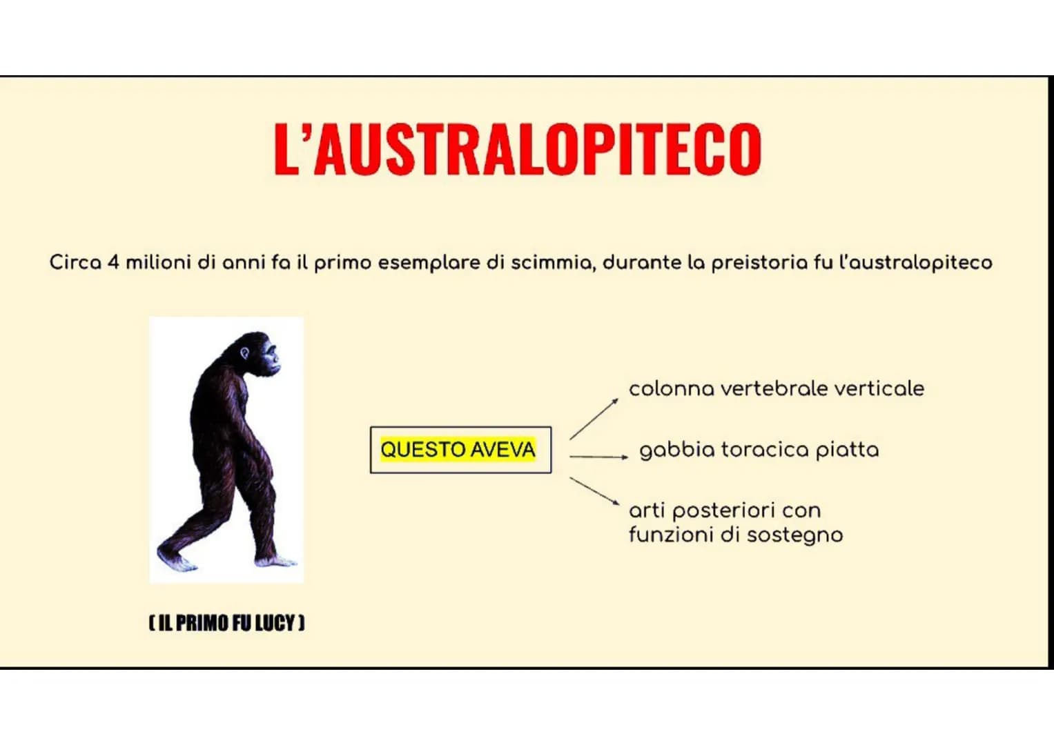 LA PREISTORIA
La preistoria è il periodo di avvenimenti (cioè fatti accaduti) prima dell'invenzione della scrittura
PALEOLITICO
(in questo p