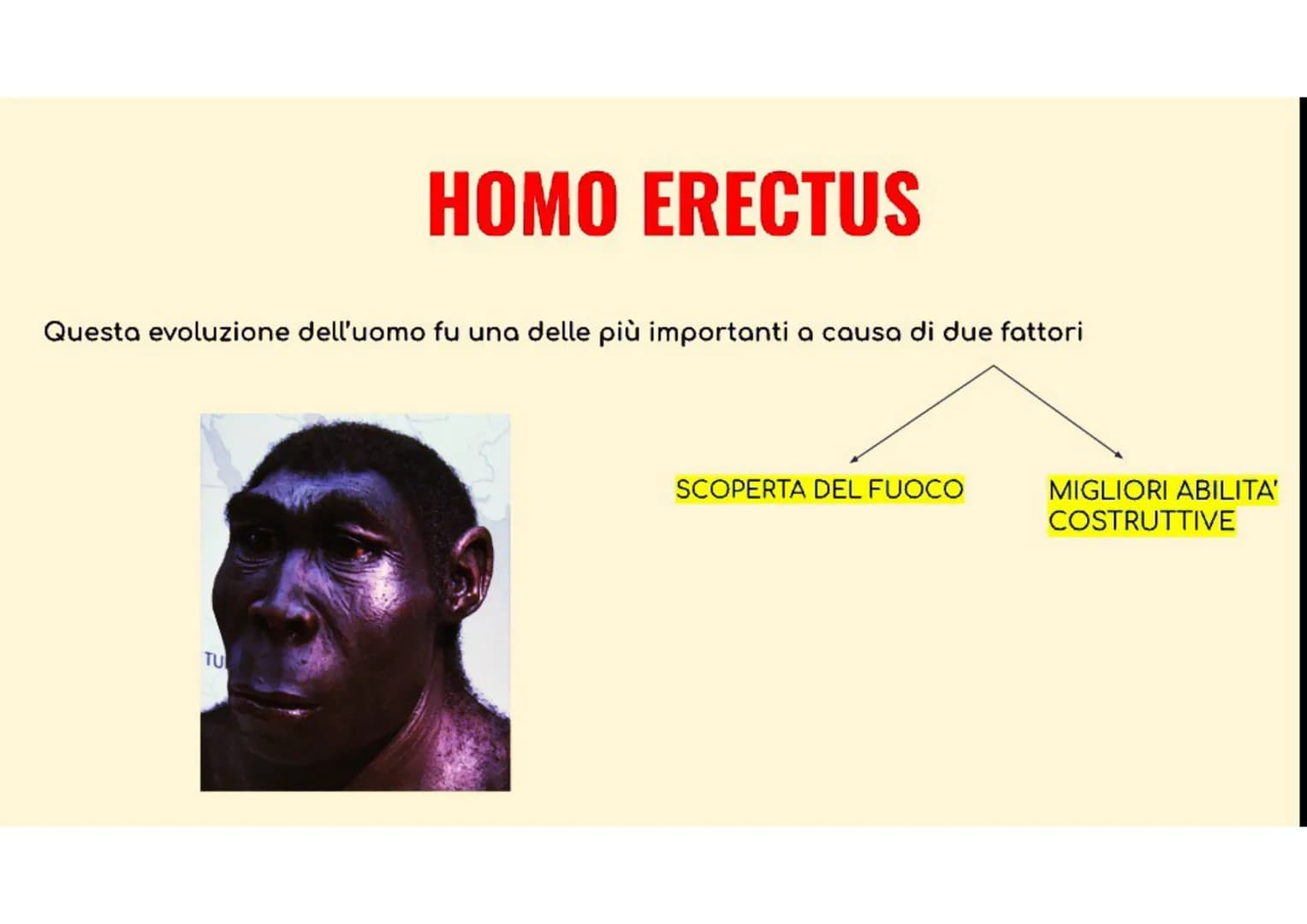 LA PREISTORIA
La preistoria è il periodo di avvenimenti (cioè fatti accaduti) prima dell'invenzione della scrittura
PALEOLITICO
(in questo p