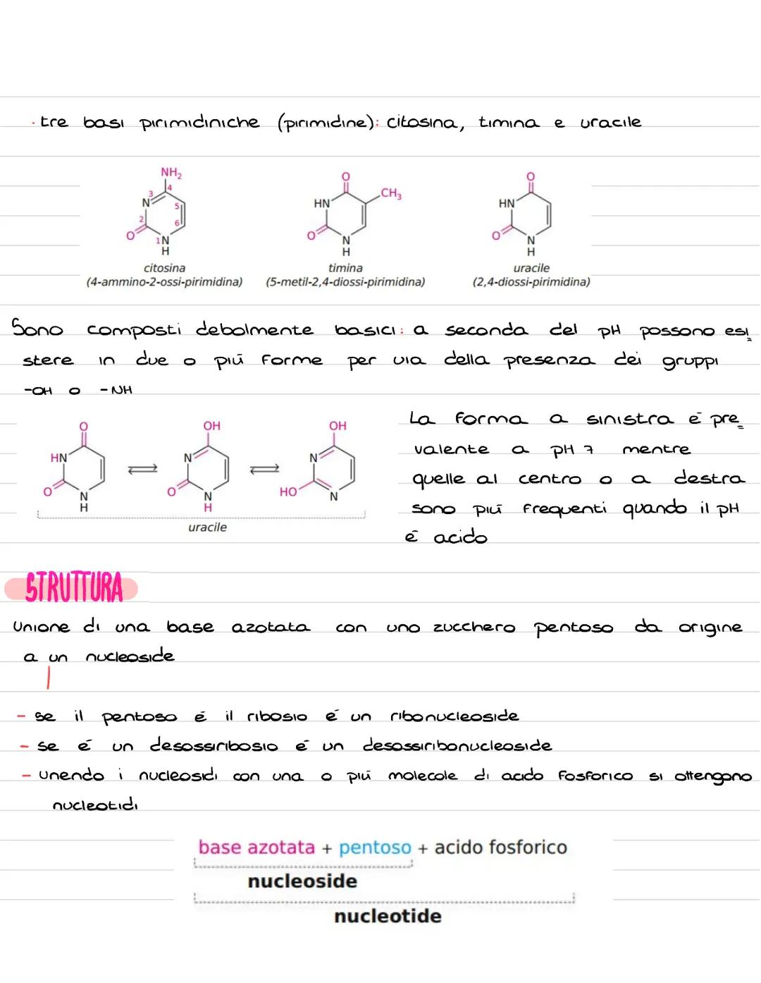 # ALMATIN
## nucleotidi
# ITUGLLVIושו

Sono molecole convolte in diversi processi fondamentali, in alcuni
casi hanno Funzione energetica (AT