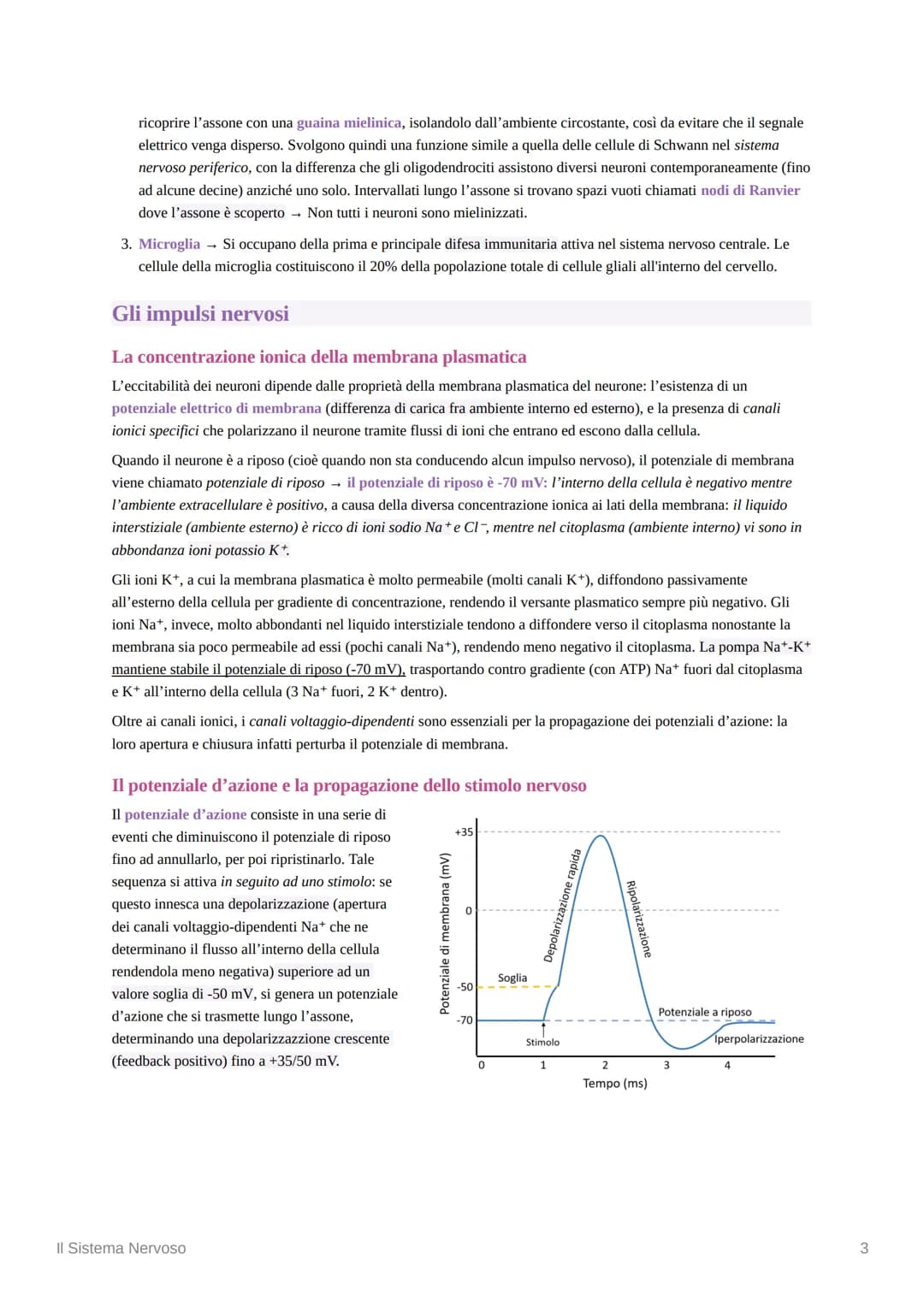 Il Sistema Nervoso
Introduzione alle Neuroscienze
Le neuroscienze rappresentano lo studio scientifico del sistema nervoso. L'idea alla base 