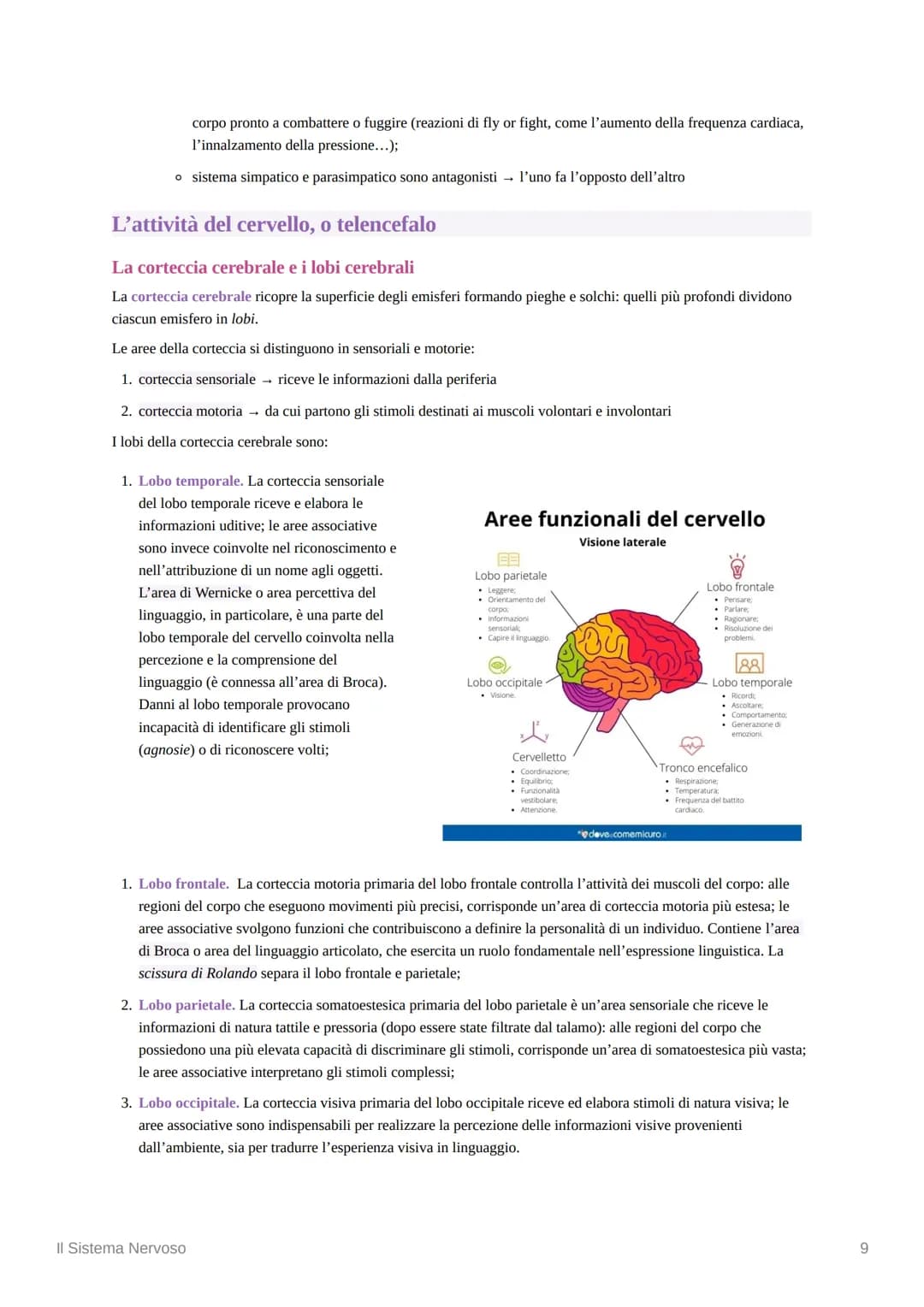 Il Sistema Nervoso
Introduzione alle Neuroscienze
Le neuroscienze rappresentano lo studio scientifico del sistema nervoso. L'idea alla base 