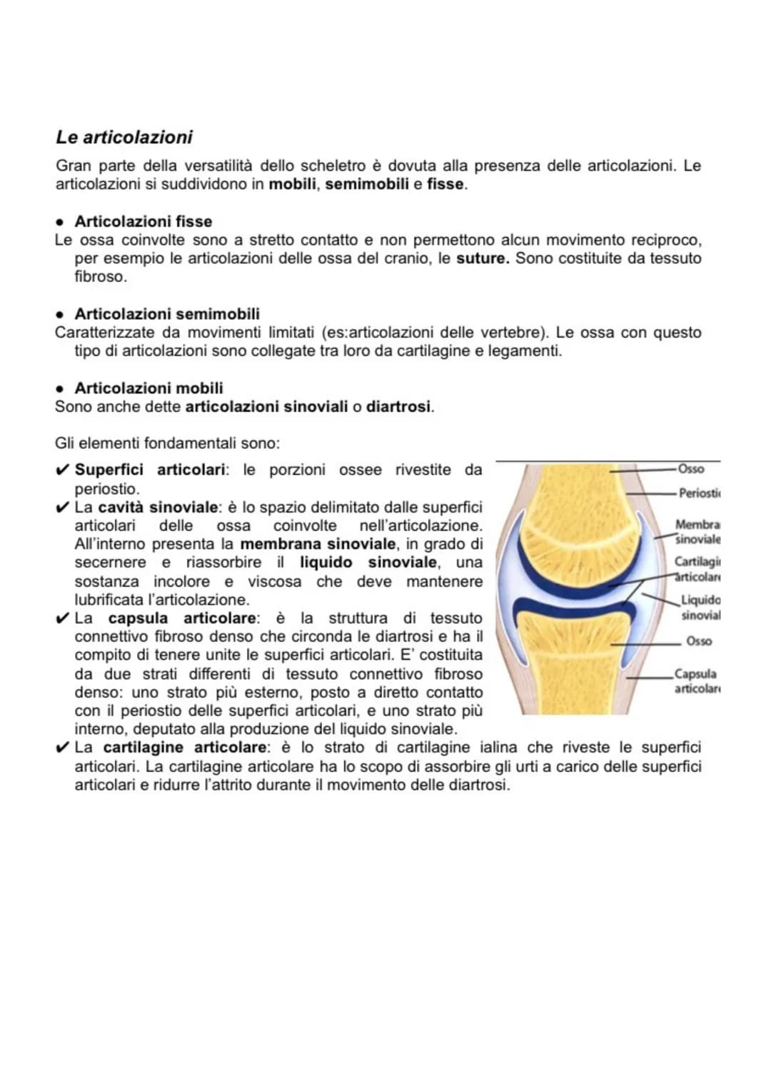 SCIENCE
Anatomia APPARATO MUSCOLO SCHELETRICO
L'apparato muscolo-scheletrico è composto dall'insieme di ossa, articolazioni e muscoli, la
cu