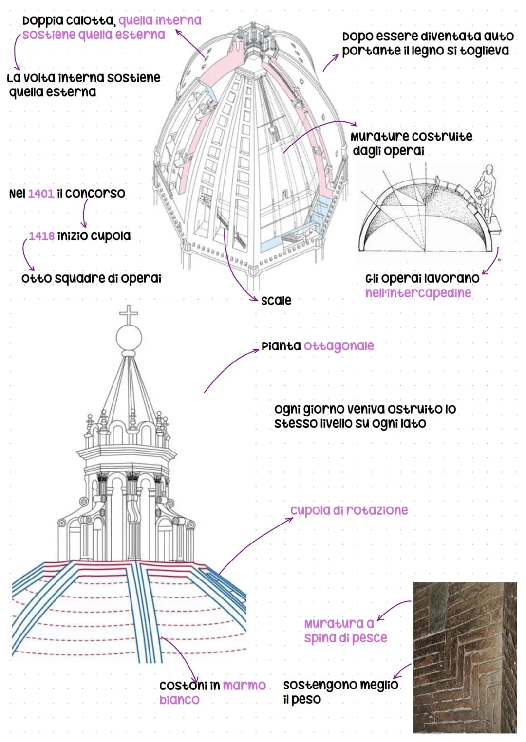 Rinascimento
Rinascita, il ritorno alle forme classiche dell'arte romana antica, l'adozione di un
metodo "sperimentale" nello studio della n