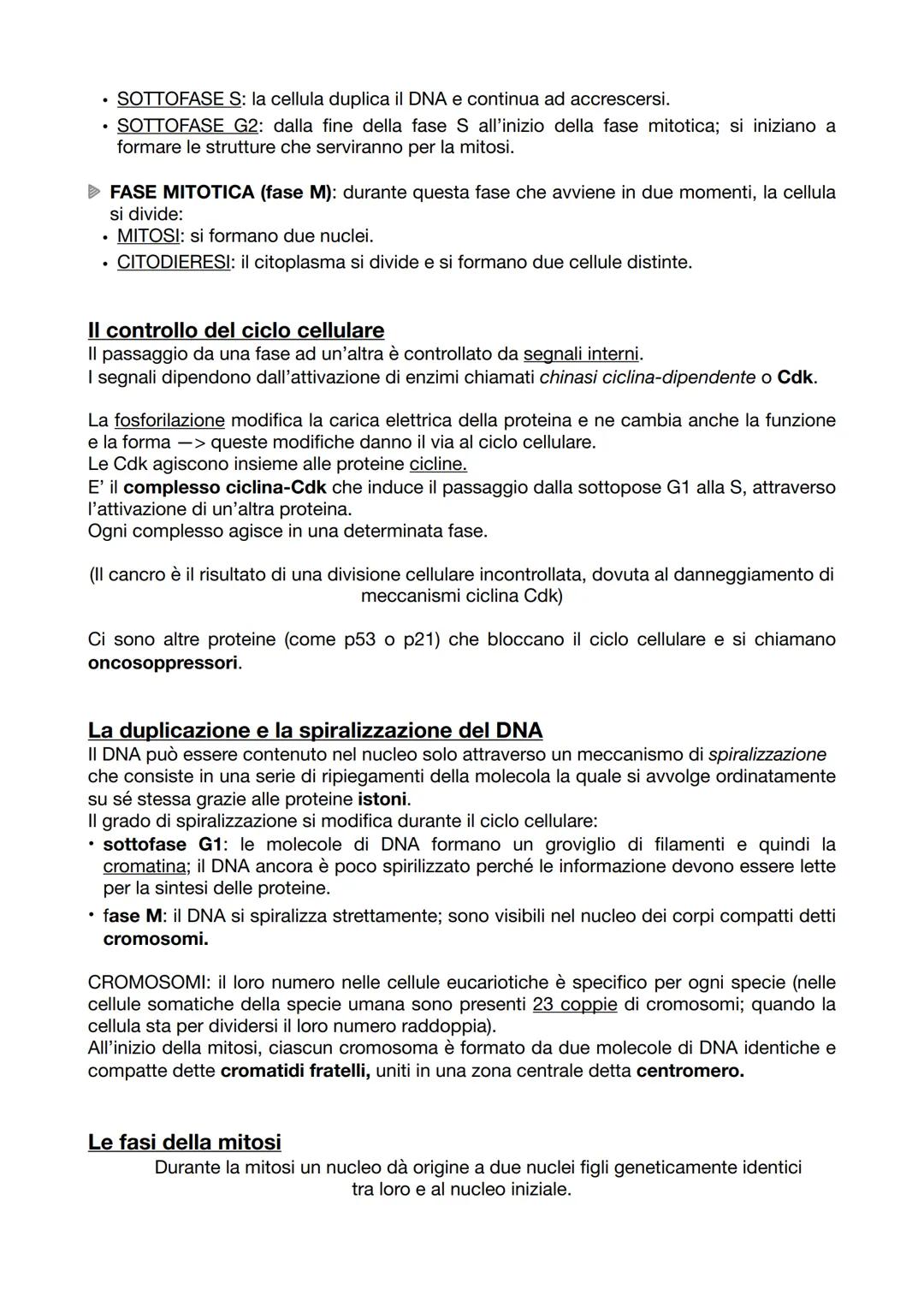 Sintesi biologia
(p.126-135)
La divisione cellulare
E' un processo grazie al quale una cellula si divide e dà origine a due cellule
figlie i
