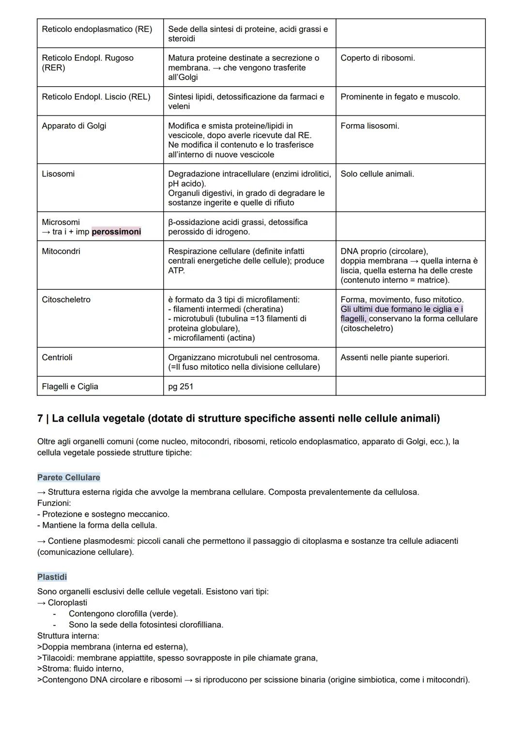 Dispensa di Biologia Cellulare per il TOLC-F
1 | Introduzione alla biologia
Caratteristiche dei viventi
Organizzazione cellulare
Metabolismo
