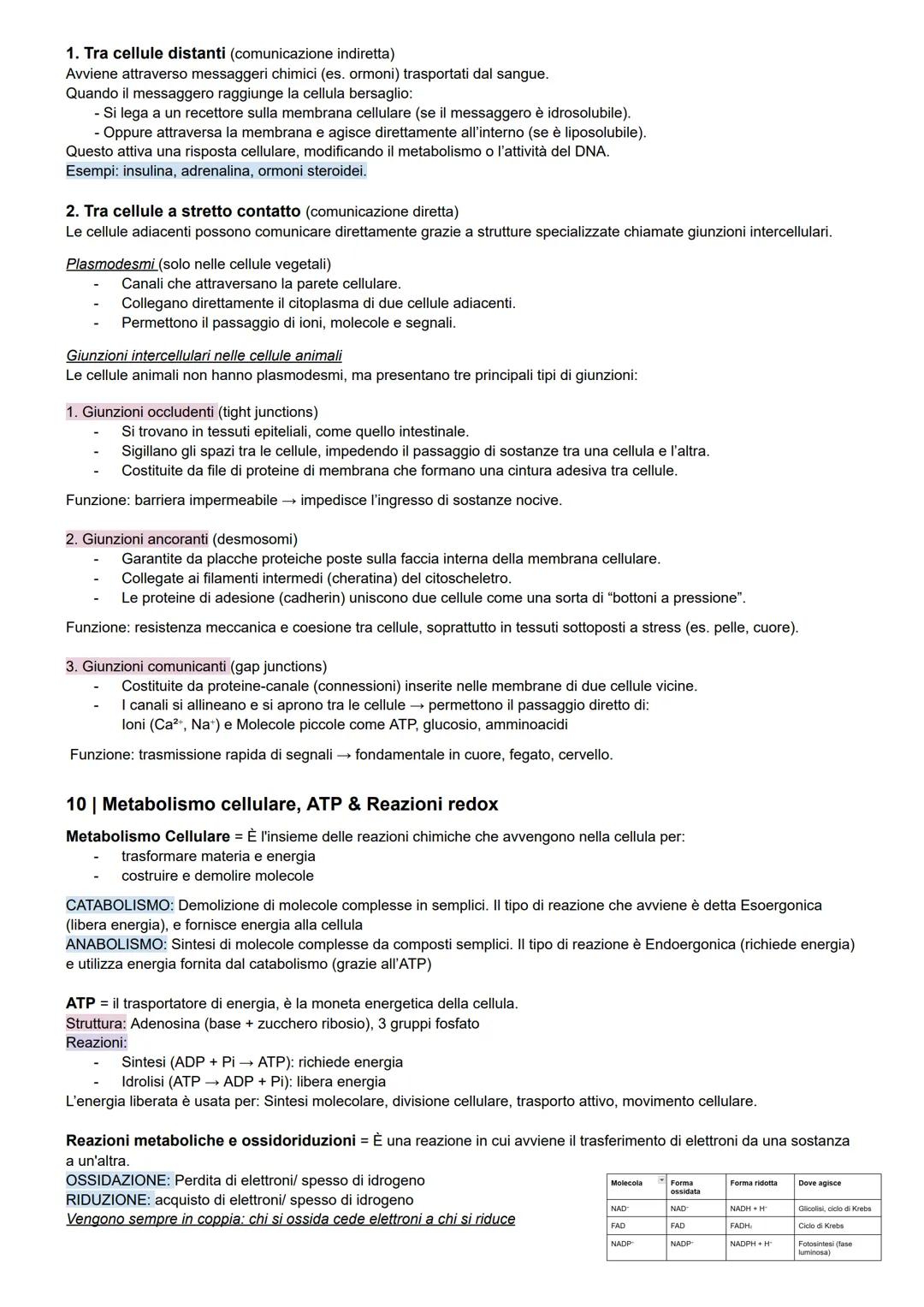 Dispensa di Biologia Cellulare per il TOLC-F
1 | Introduzione alla biologia
Caratteristiche dei viventi
Organizzazione cellulare
Metabolismo