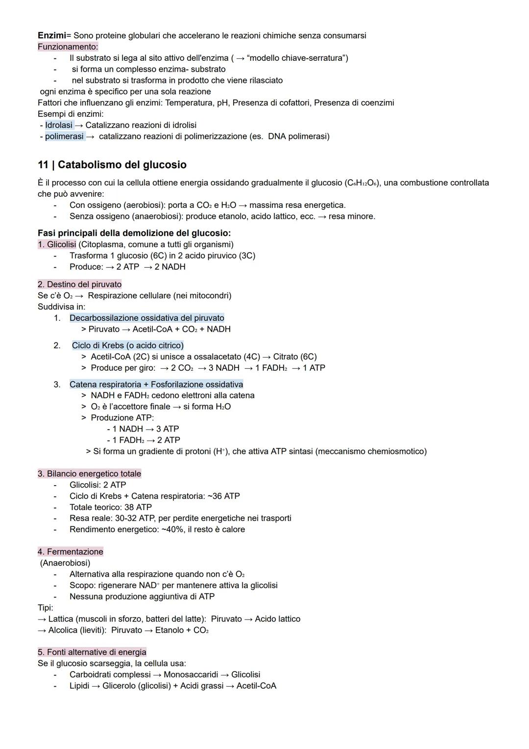 Dispensa di Biologia Cellulare per il TOLC-F
1 | Introduzione alla biologia
Caratteristiche dei viventi
Organizzazione cellulare
Metabolismo
