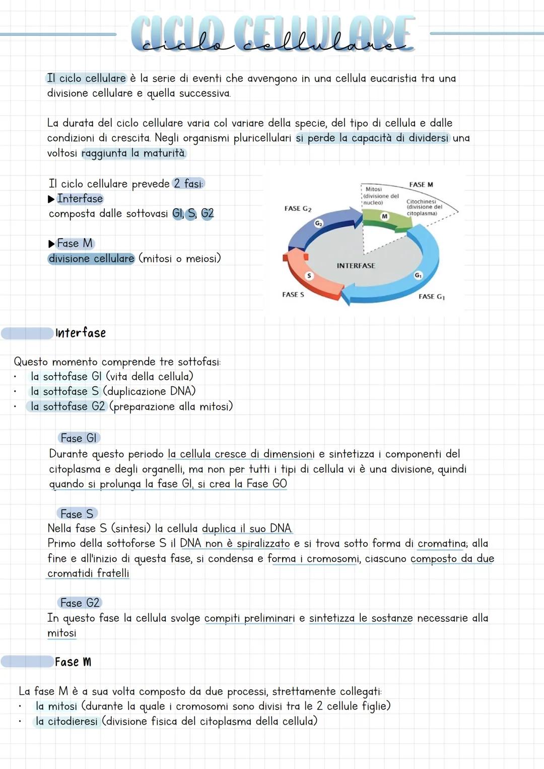 CICLO CELULARE
Il ciclo cellulare è la serie di eventi che avvengono in una cellula eucaristia tra una
divisione cellulare e quella successi