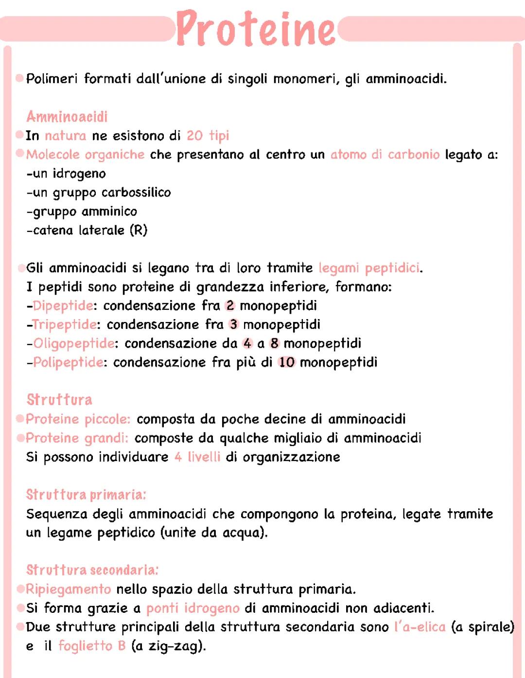 Struttura delle Proteine: Spiegazione Semplice per Ragazzi