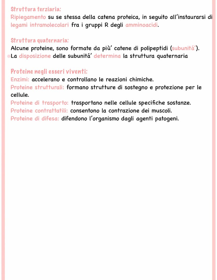 Proteine
Polimeri formati dall'unione di singoli monomeri, gli amminoacidi.
Amminoacidi
In natura ne esistono di 20 tipi
Molecole organiche 
