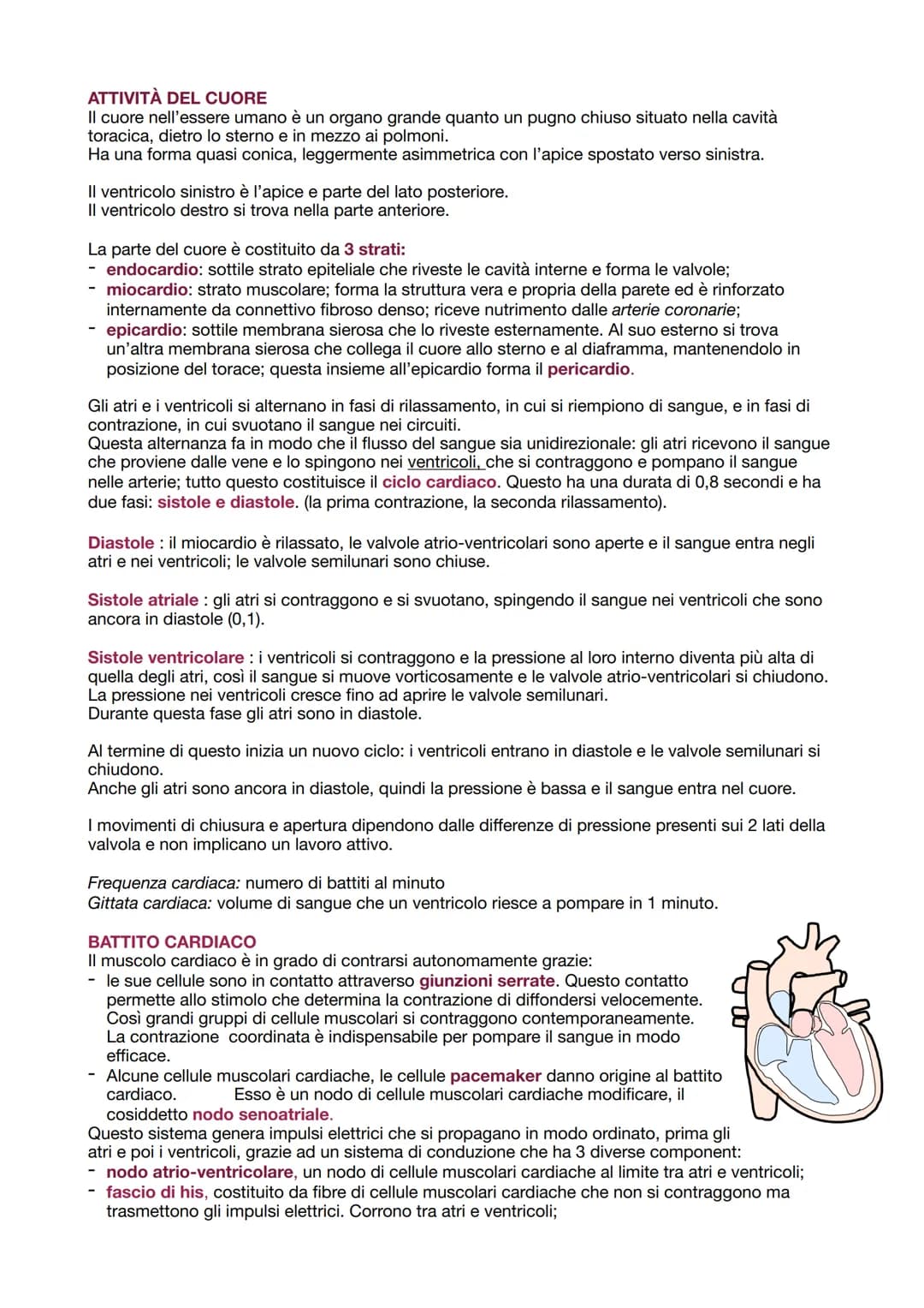 O
polmonari
APPARATO CARDIOVASCOLARE
Trasporta nel sangue i materiali da e verso tutte le regioni corporee per assicurare la giusta
composiz
