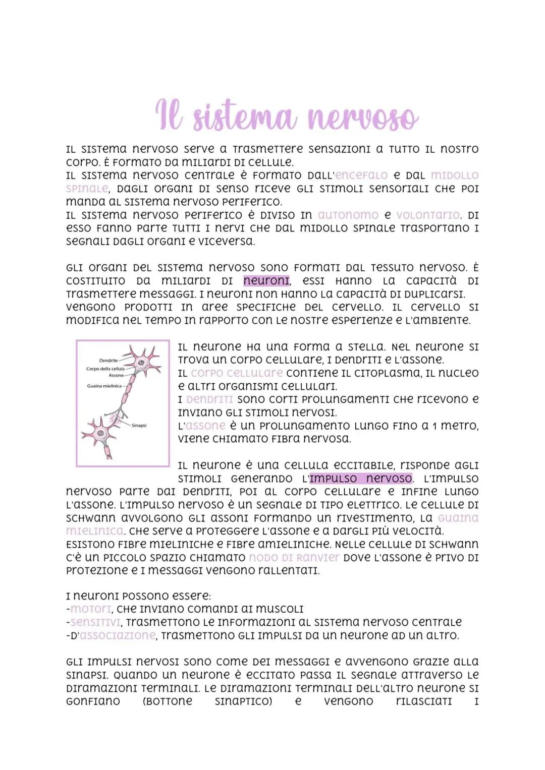 Il sistema nervoso
IL SISTema nervoso serve a TrasmeTTere sensazioni a TUTTO IL NOSTRO
corpo. È FormaTO DA MILIarDI DI CELLULE.
IL SISTеma n