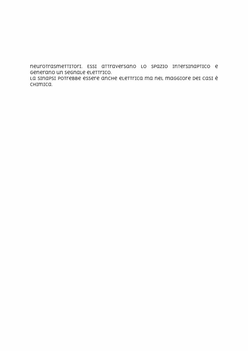 Il sistema nervoso
IL SISTema nervoso serve a TrasmeTTere sensazioni a TUTTO IL NOSTRO
corpo. È FormaTO DA MILIarDI DI CELLULE.
IL SISTеma n