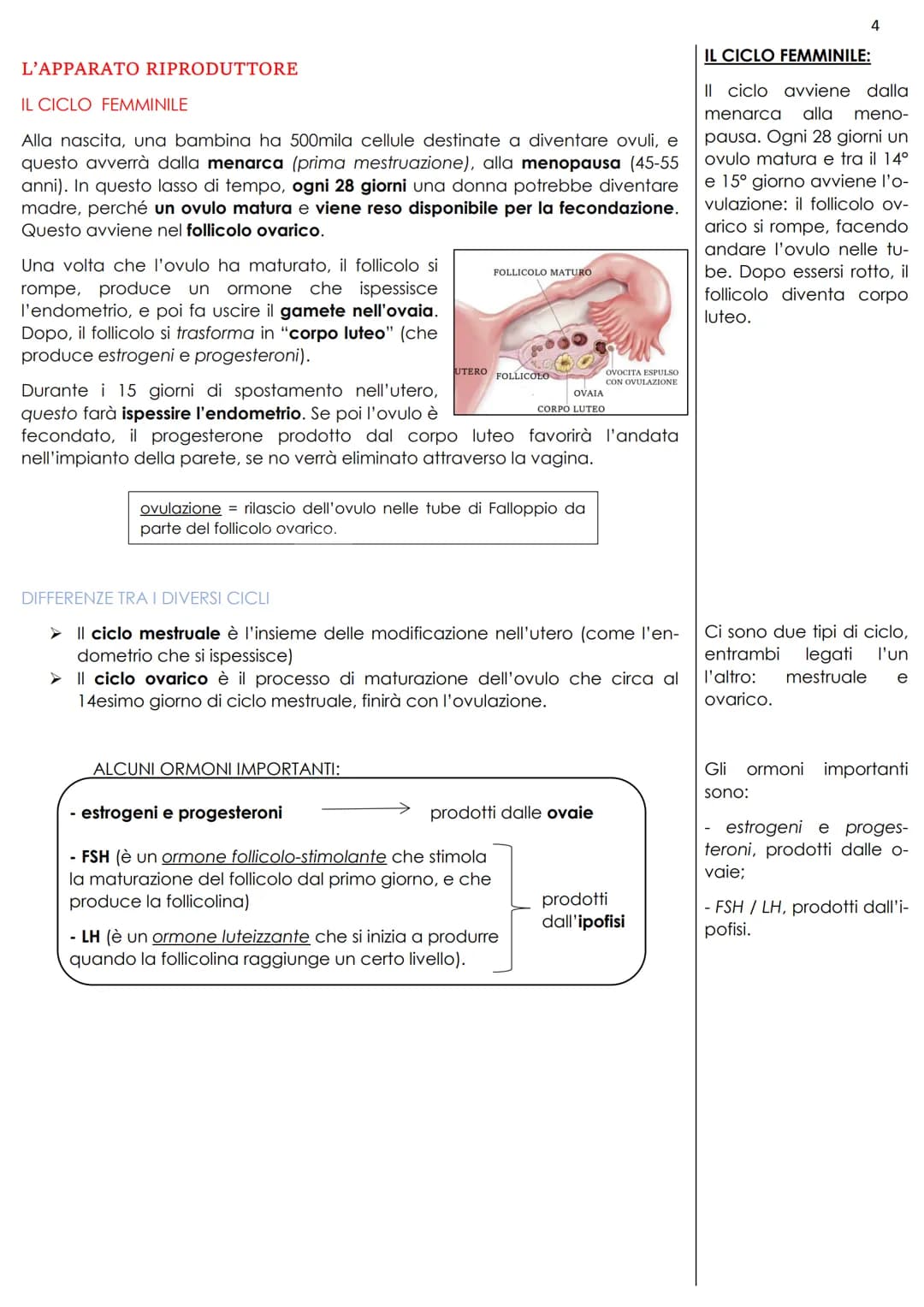 L'APPARATO RIPRODUTTORE
La riproduzione umana è sessuata, ciò vuol dire che individui di sesso diverso,
attraverso l'accoppiamento, possono 
