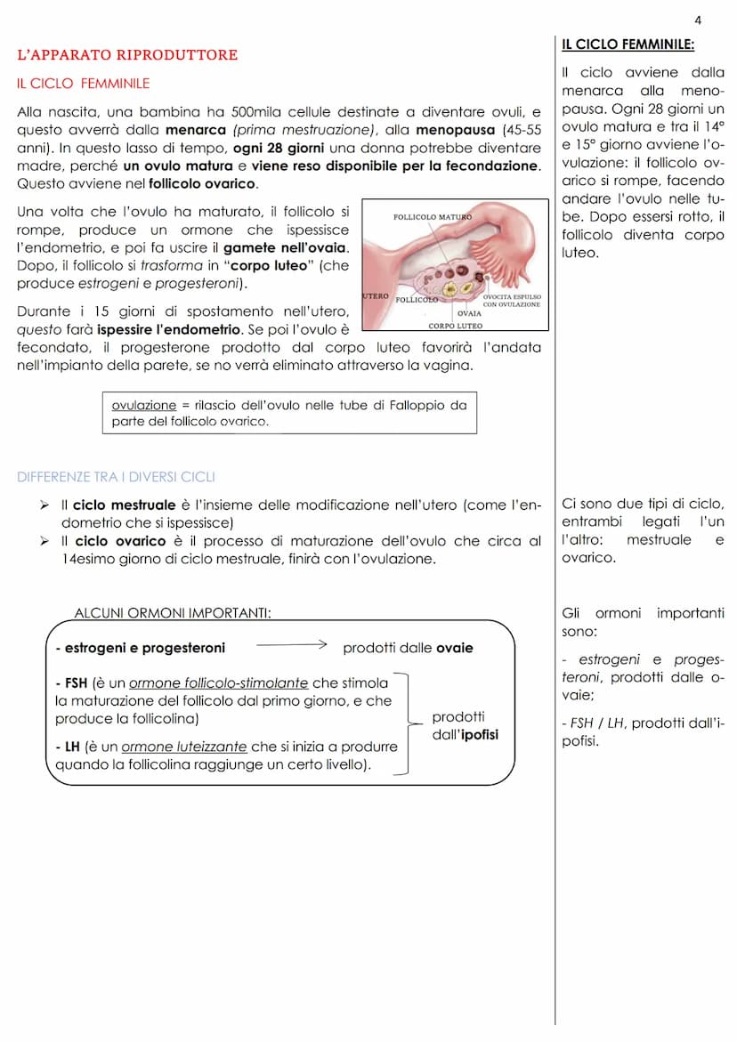 L'APPARATO RIPRODUTTORE
La riproduzione umana è sessuata, ciò vuol dire che individui di sesso diverso,
attraverso l'accoppiamento, possono 