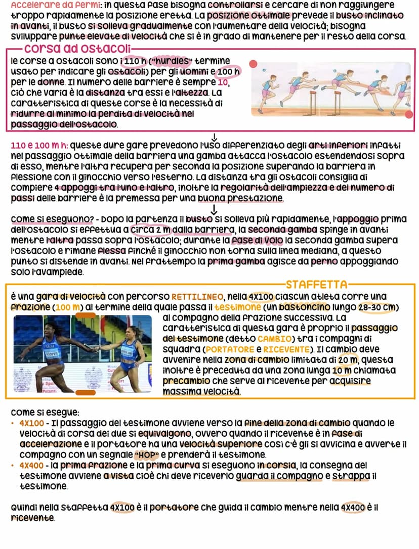 la coordinazione
MOVIMENTO - è un'attività muscolare che si realizza nel mantenimento di una postura,
dell'equilibrio e nello spostamento de