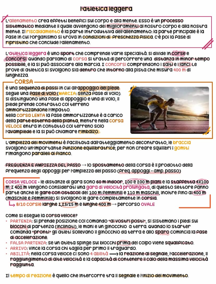 la coordinazione
MOVIMENTO - è un'attività muscolare che si realizza nel mantenimento di una postura,
dell'equilibrio e nello spostamento de