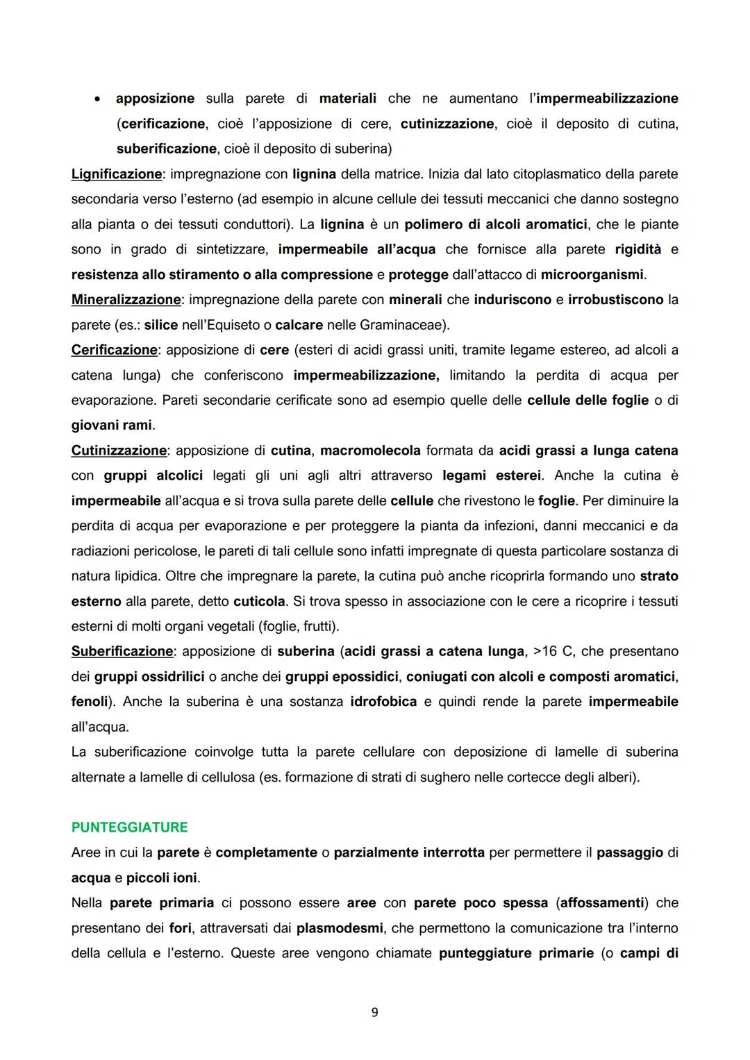 I.
La cellula vegetale: parete e membrana
●
●
● Crescita limitata;
Mobilità;
Numerosi organi e apparati
(organismi pluricellulari con un
det
