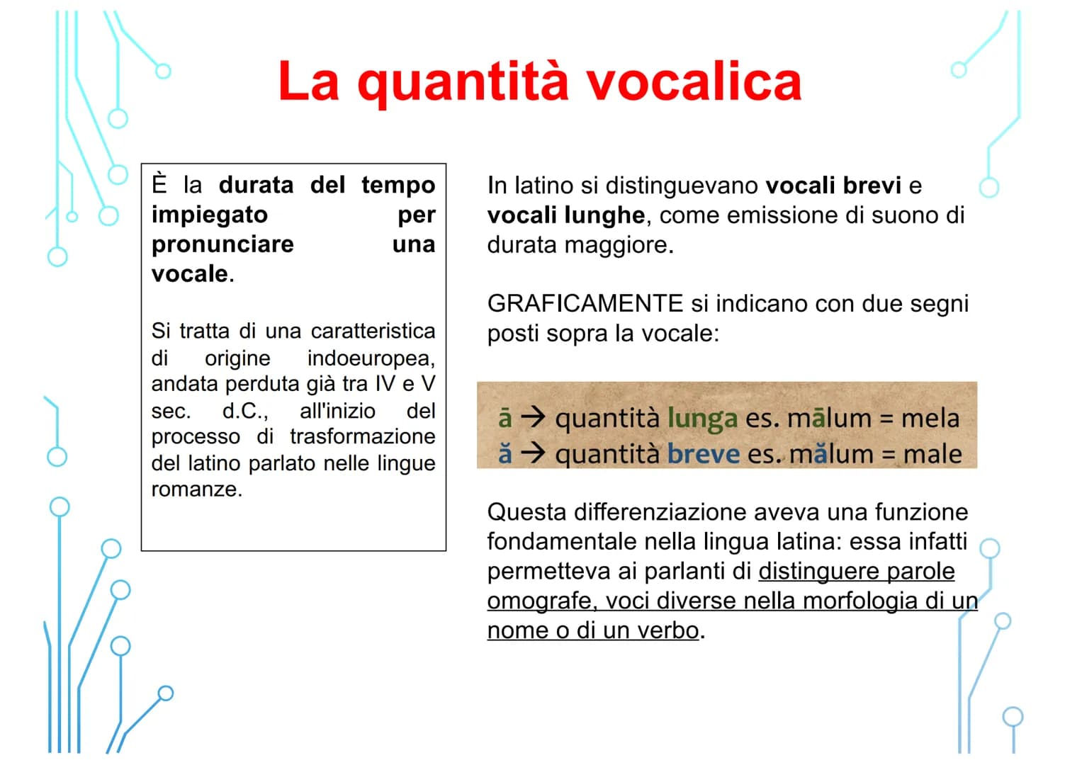 قرمز
Vi
Corso di latino
per principianti
LEZIONE 1
FONOLOGIA: l'alfabeto, la pronuncia, la quantità
vocalica, la divisione in sillabe, l'acc